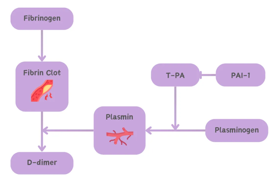 Nattokinase mechanism
